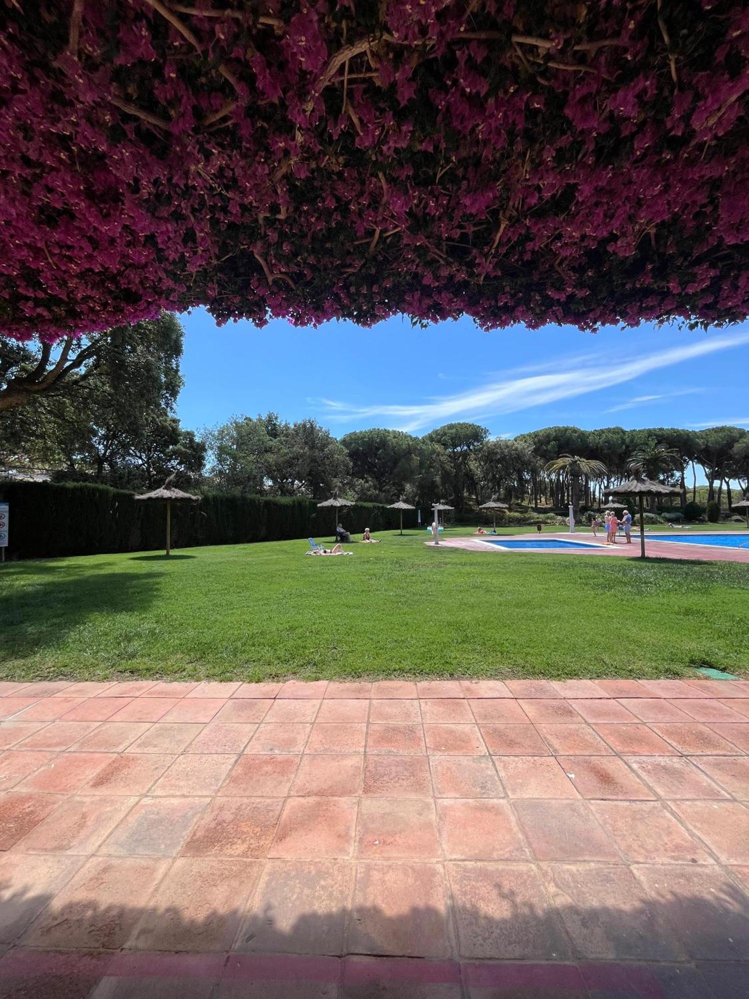 شقة Calella De Palafrugell - Piso Reformado Con Piscina, Wifi Y Parking Gratuito المظهر الخارجي الصورة